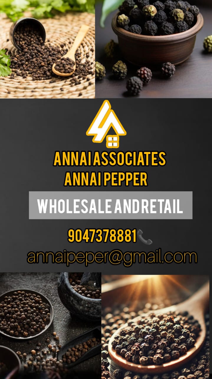 Cars, Tempos, and Buses