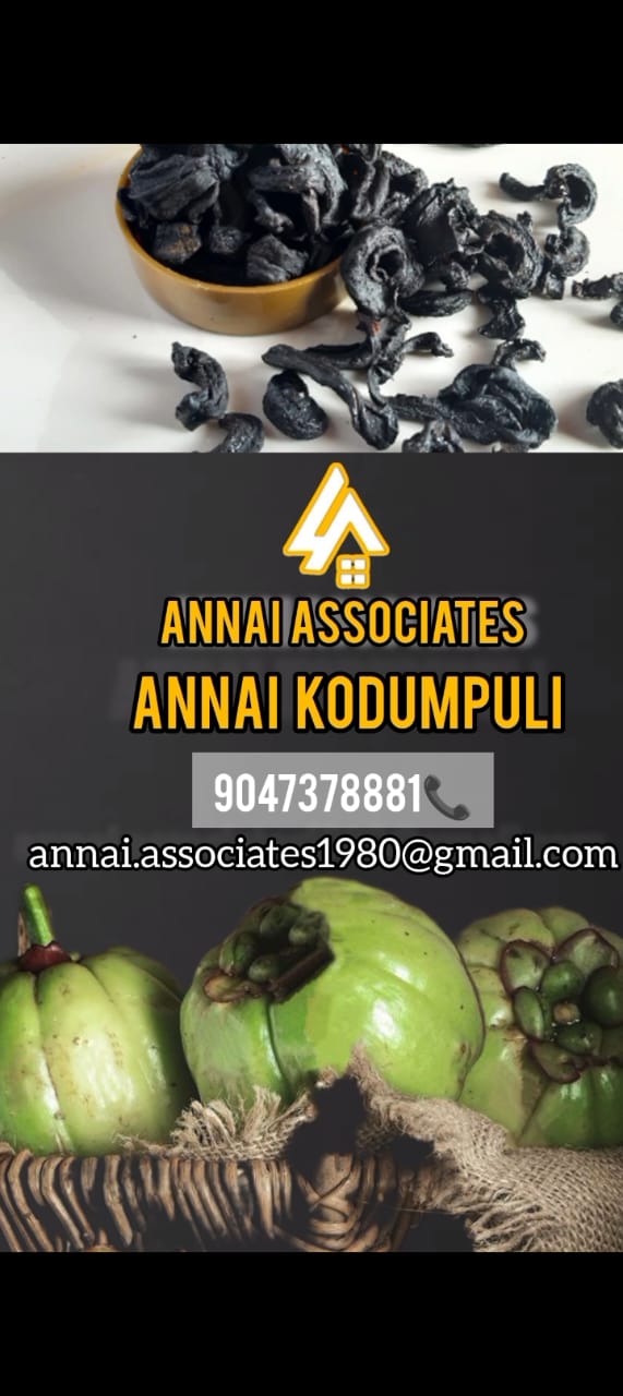 Cars, Tempos, and Buses